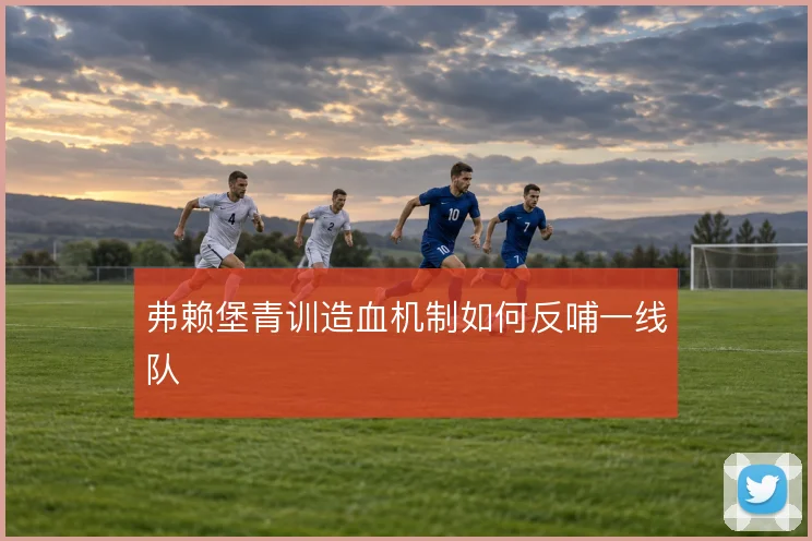 弗赖堡青训造血机制如何反哺一线队